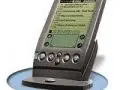 Palm Pilot